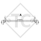 Assale frenato 1000kg EURO Compact tipo di assale B 850-10