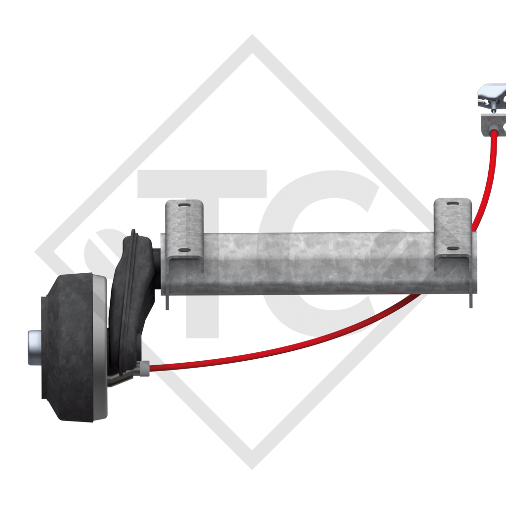 Semi assale frenato 1350kg tipo di assale CBST 1354 - 46.25.379.478 / 479