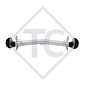 Achse gebremst 1300kg EURO Plus Achstyp DELTA SI-N 12 - Dethleffs RM4