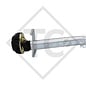 Achse gebremst 1300kg EURO Plus Achstyp DELTA SI-N 12 - Dethleffs RM4