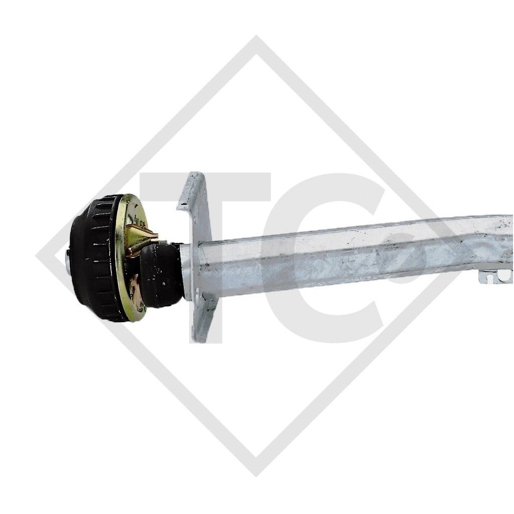Essieu EURO Plus 1300kg freiné type d'essieu DELTA SI-N 12 - Dethleffs RM4