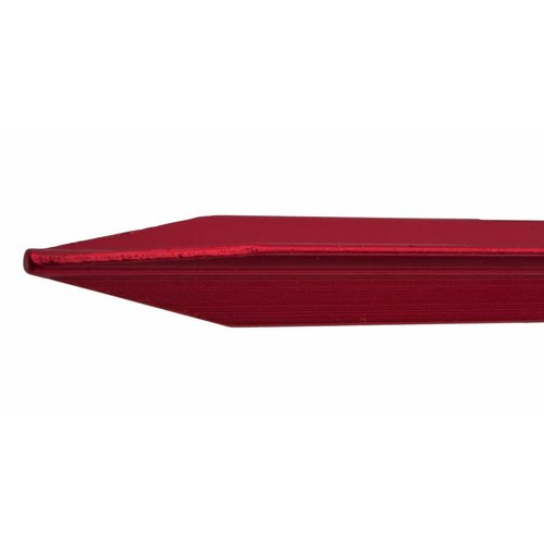 Basic Nature Basic Nature Y-Stake tentharingen (5 stuks - 18 cm - rood)