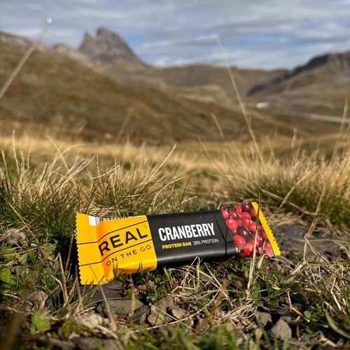 REAL Turmat Meals Cranberry Protein Bar - Real On The Go REAL Turmat Meals Cranberry Protein Bar - Real On The Go