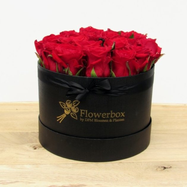 Flowerbox rode rozen M