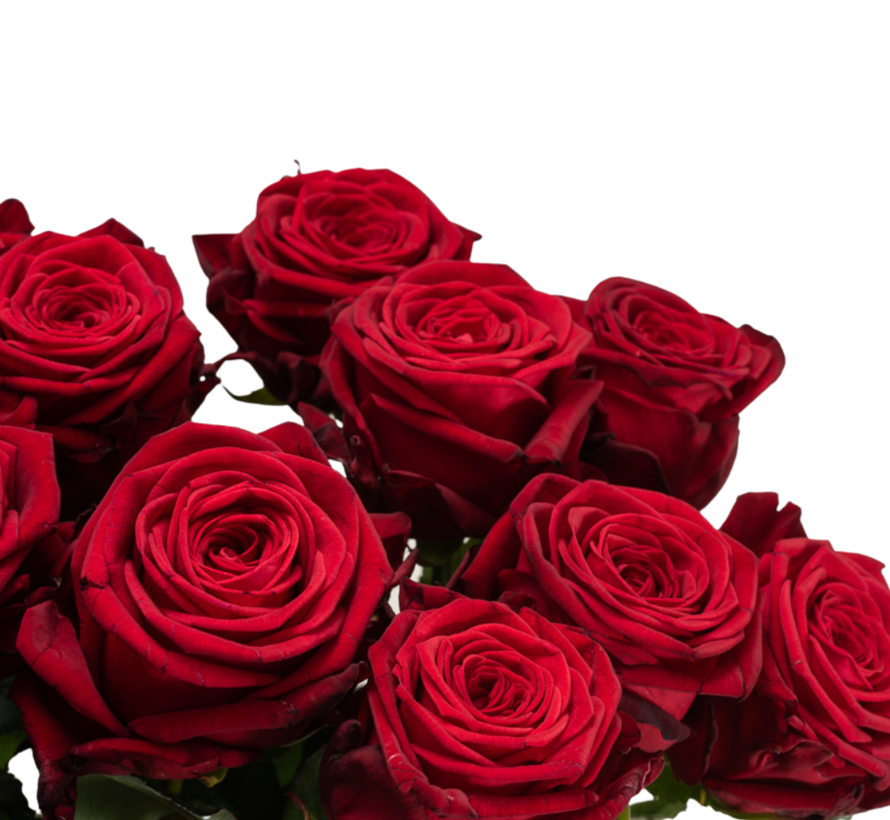 Rode rozen Red Naomi 40 stuks