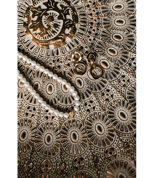 By Shir Ketting Parels met Panter