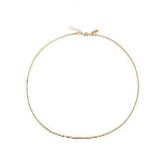 By Shir For Him Ketting edelstaal 14k verguld 2mm