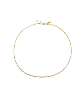 By Shir For Him Ketting (verguld) edelstaal 2mm