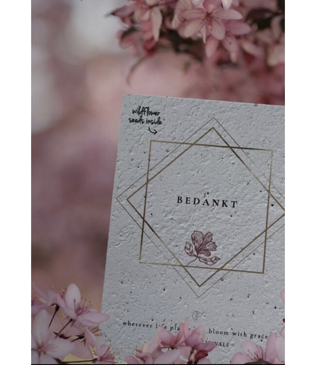 By Shir Thank You Card