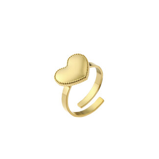 By Shir Ring luxe Evy goud