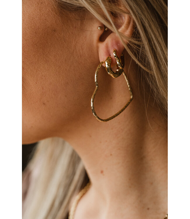 By Shir Luxury Hearty M Earrings