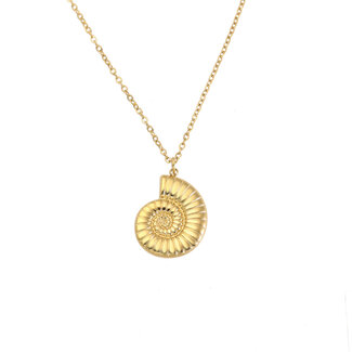 By Shir Ketting seashell