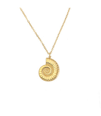 By Shir Ketting seashell