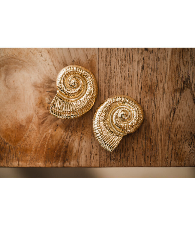 By Shir Oorbellen luxe Seashell