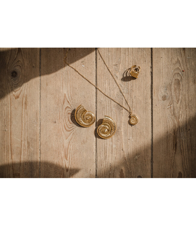 By Shir Ketting seashell