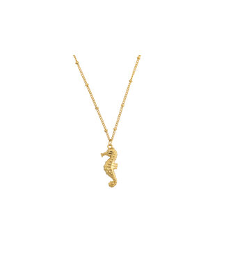 By Shir Ketting zeepaardje