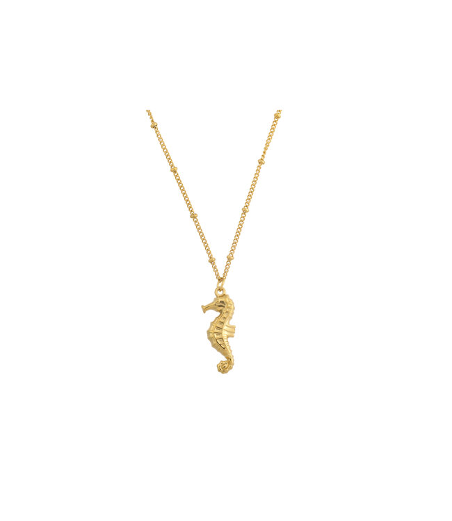 By Shir Ketting zeepaardje