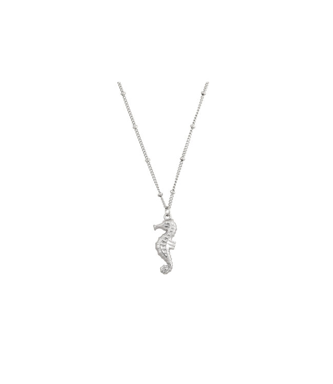 By Shir Ketting zeepaardje