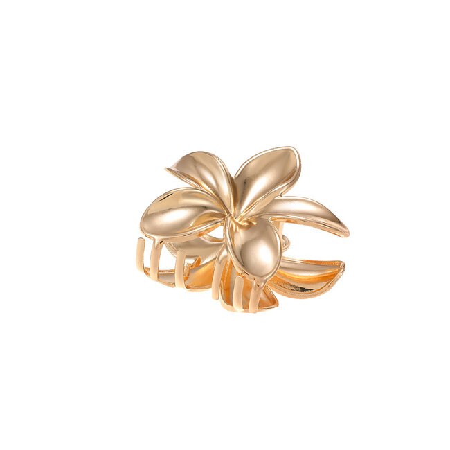 By Shir Haarklem Flower