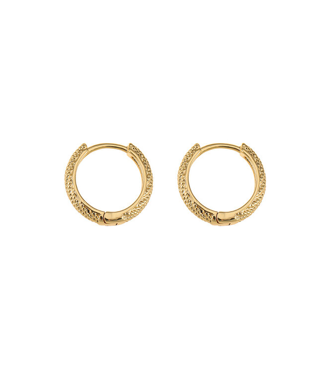 By Shir Oorbellen klein Lisa