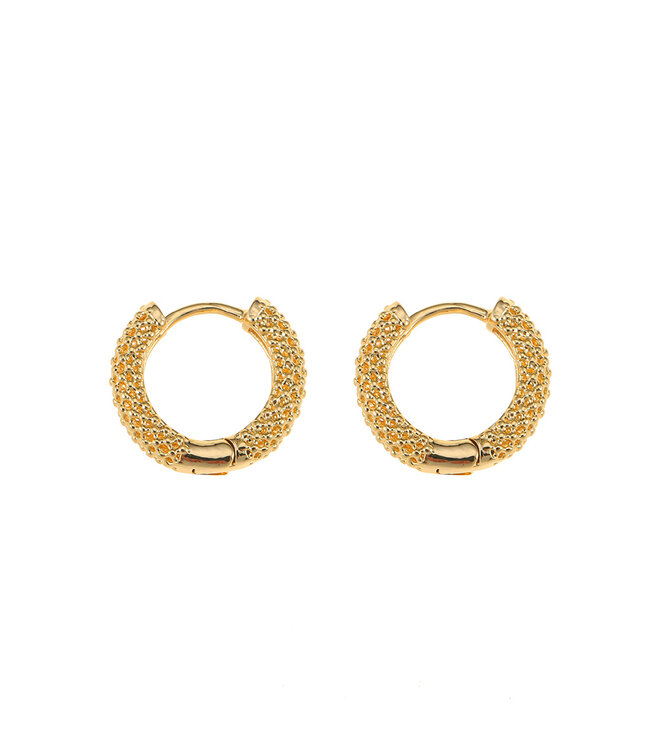 By Shir Oorbellen klein Lisanne