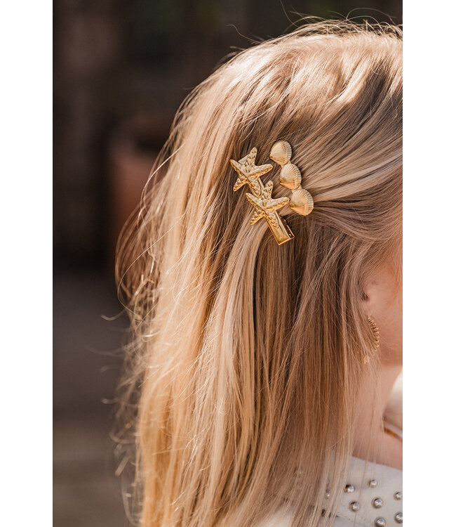 By Shir Haarclip schelp