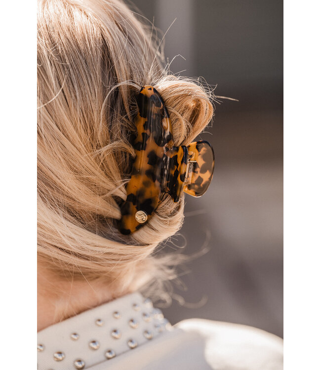 By Shir Haarklem groot bruin