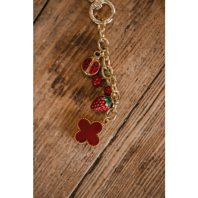 By Shir Bagcharm red