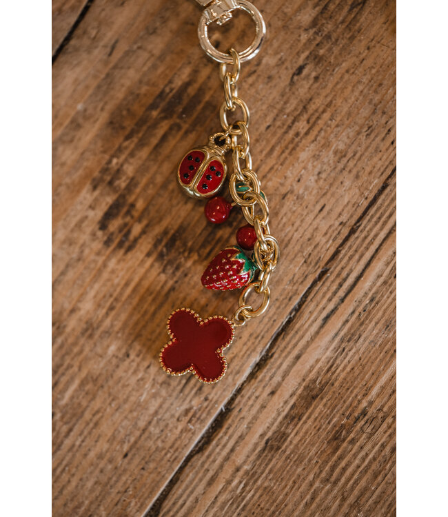 By Shir Bagcharm red