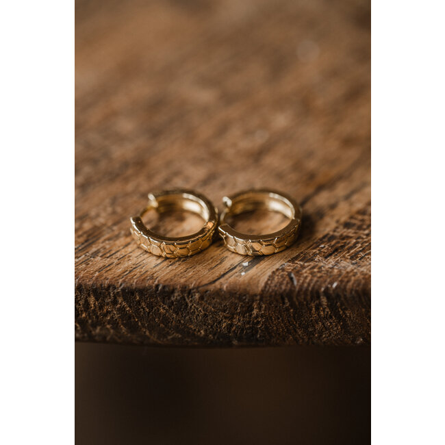 By Shir Oorbellen klein Nora