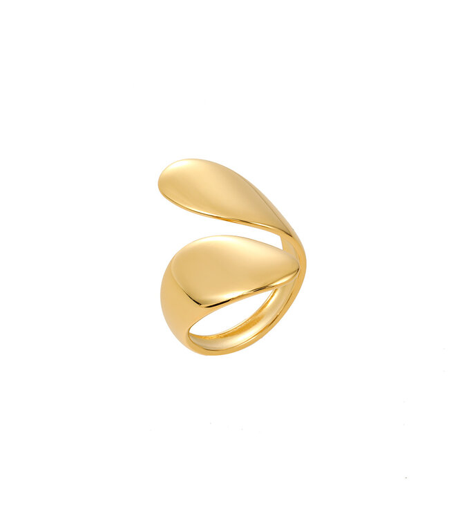 By Shir Ring Luxus Evi