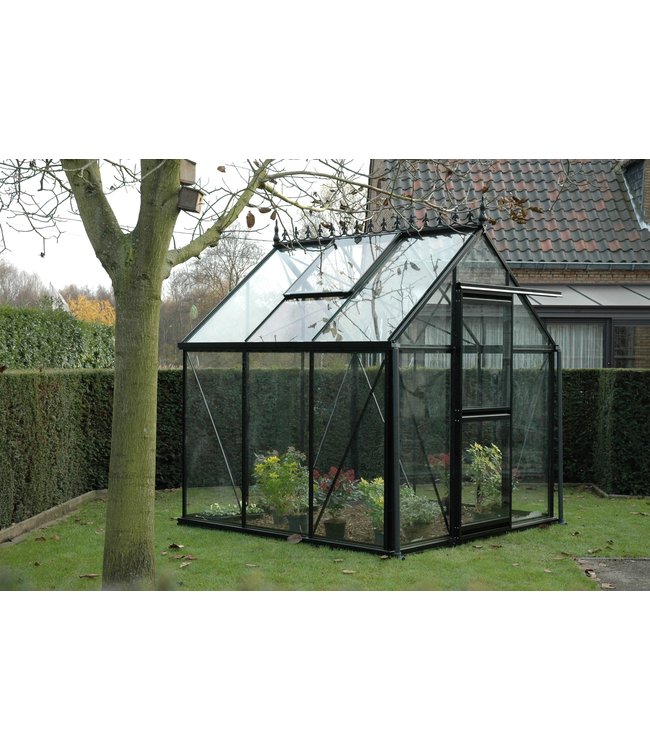 Janssens Eos Junior JV23 236x310cm