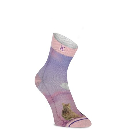 Xpooos XPOOOS Sokken Thema: Cats - Moonlight Talking