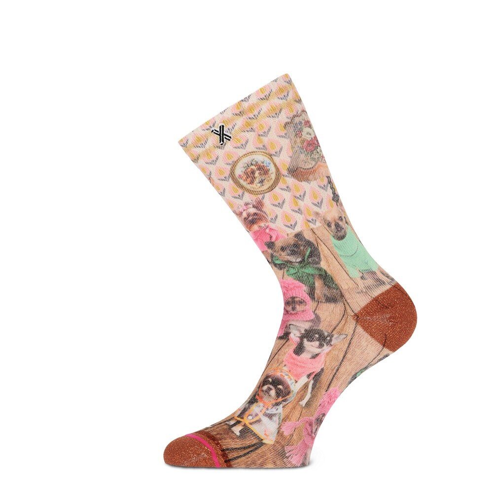 Xpooos XPOOOS Sokken Thema: Dogs - it's cold outside