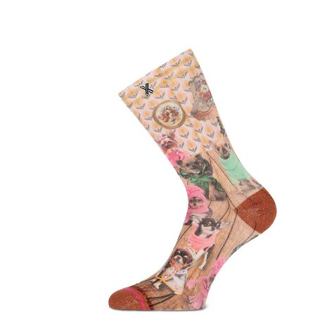 Xpooos XPOOOS Sokken Thema: Dogs - it's cold outside