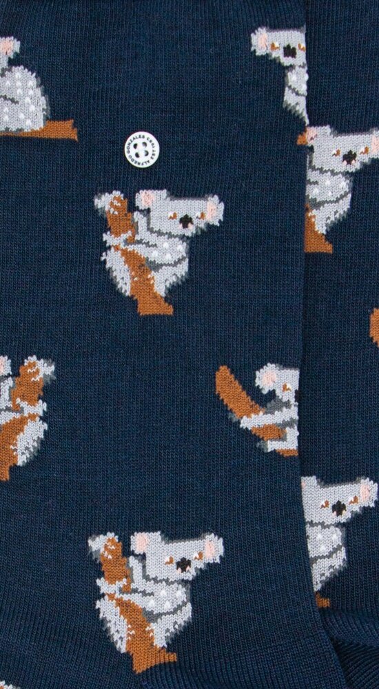 Alfredo Gonzales Alfredo Gonzales - Koala Alfredo Gonzales Alfredo Gonzales - Koala