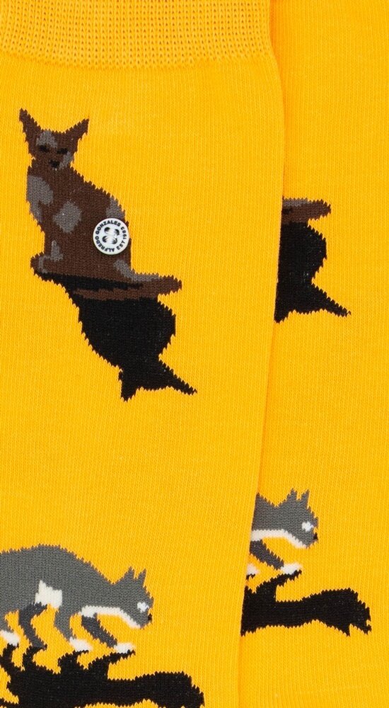 Alfredo Gonzales Alfredo Gonzales - Cats