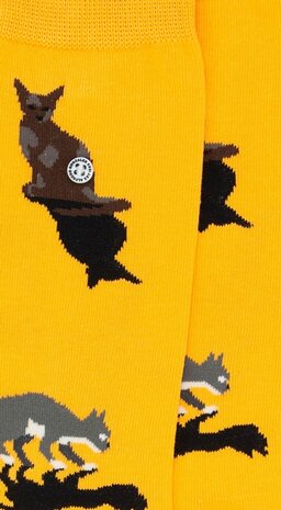 Alfredo Gonzales Alfredo Gonzales - Cats