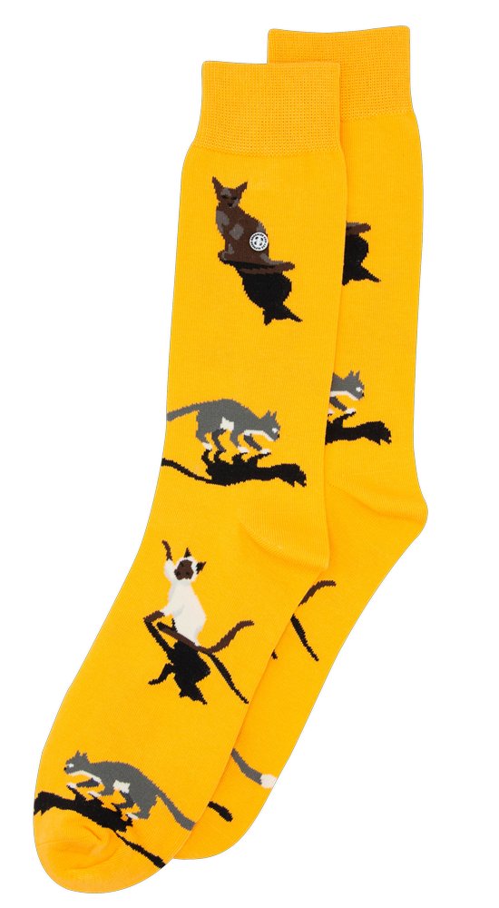 Alfredo Gonzales Alfredo Gonzales - Cats