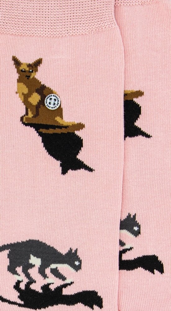 Alfredo Gonzales Alfredo Gonzales - Cats