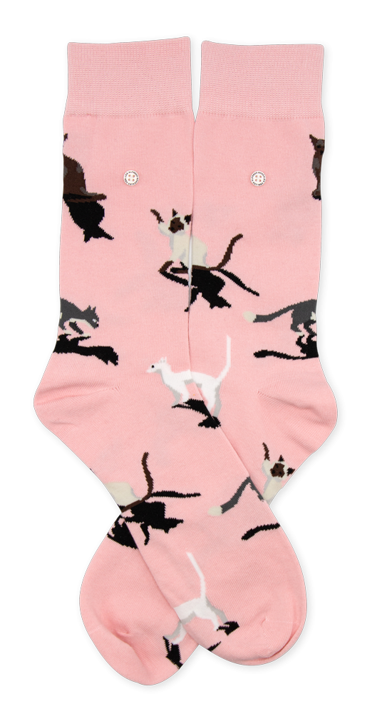 Alfredo Gonzales Alfredo Gonzales - Cats