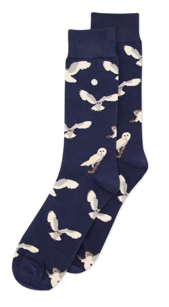 Alfredo Gonzales Alfredo Gonzales - Owl Alfredo Gonzales Alfredo Gonzales - Owl