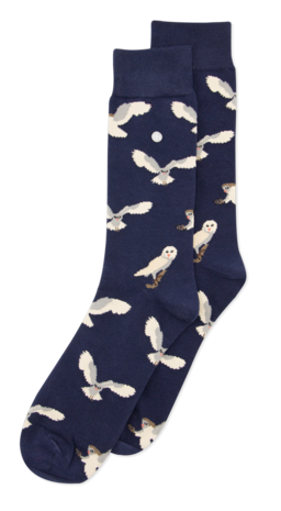 Alfredo Gonzales Alfredo Gonzales - Owl Alfredo Gonzales Alfredo Gonzales - Owl