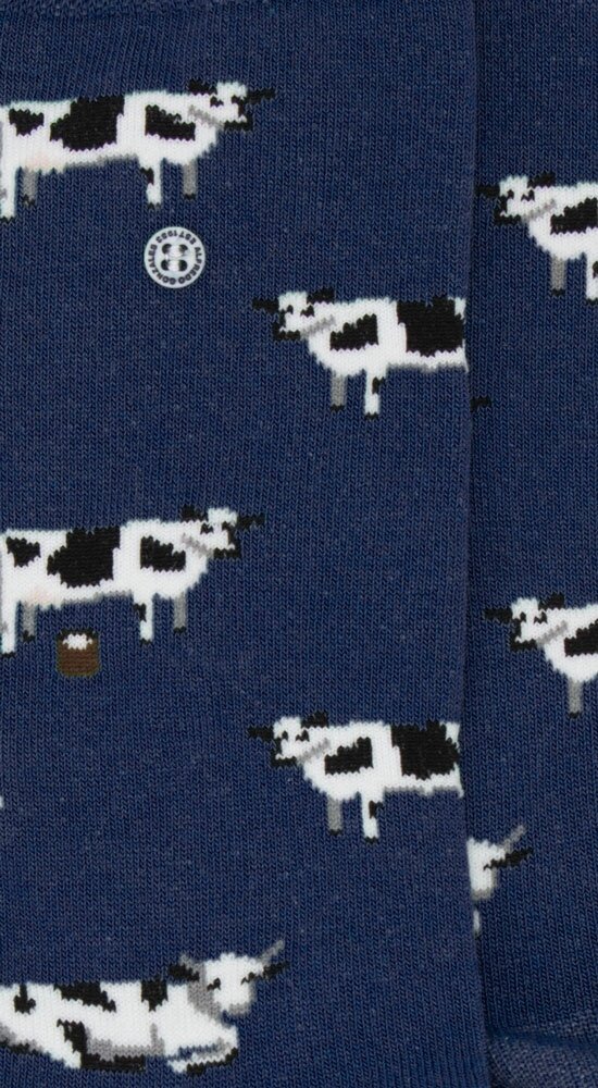 Alfredo Gonzales Alfredo Gonzales - Cows Alfredo Gonzales Alfredo Gonzales - Cows