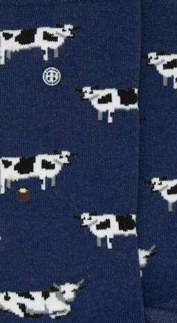 Alfredo Gonzales Alfredo Gonzales - Cows Alfredo Gonzales Alfredo Gonzales - Cows