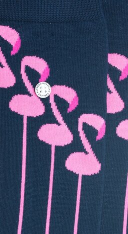 Alfredo Gonzales Alfredo Gonzales - The Flamingo Alfredo Gonzales Alfredo Gonzales - The Flamingo