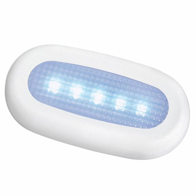 Watertight LED Courtesty Light