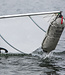 Crewsaver Mast Head Float 40L