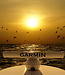 Garmin GMR Fantom 250W Open-Array Boat Radar Antenna & Pedestal