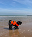 Besto Dog Buoyancy Aid Orange/Navy